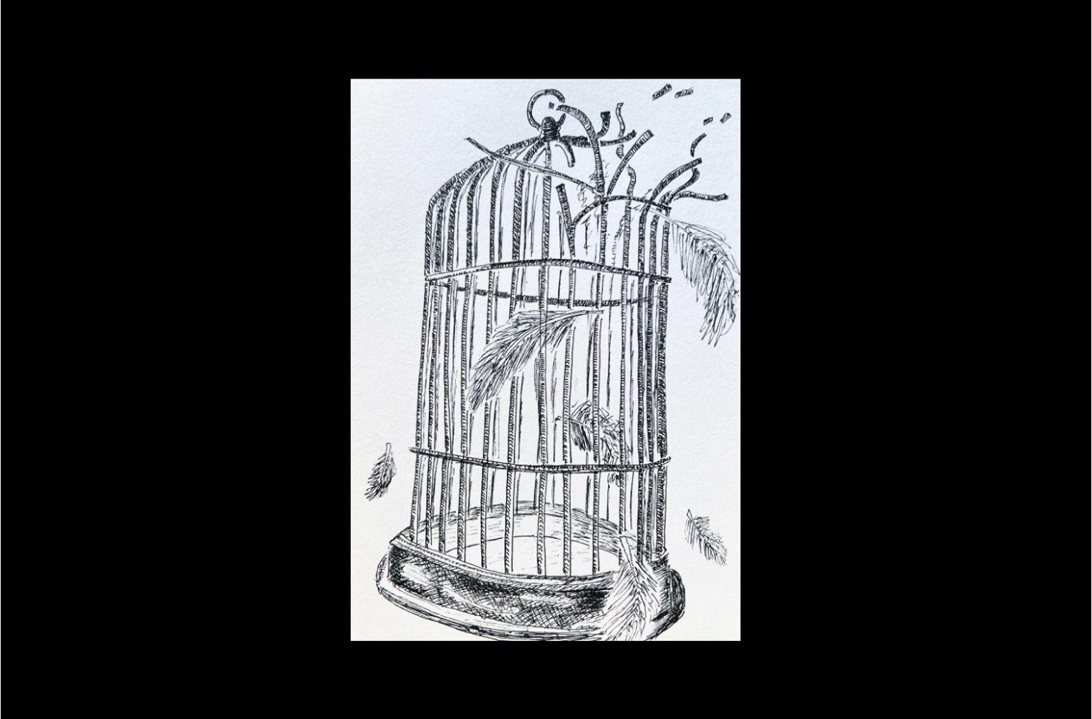 Bird Cage Broken Open